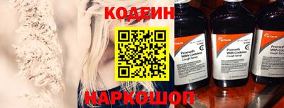 индика Бийск
