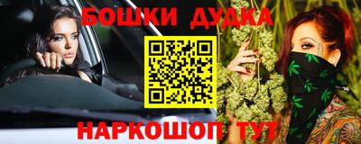 индика Бийск