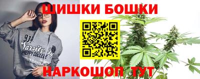 индика Бийск