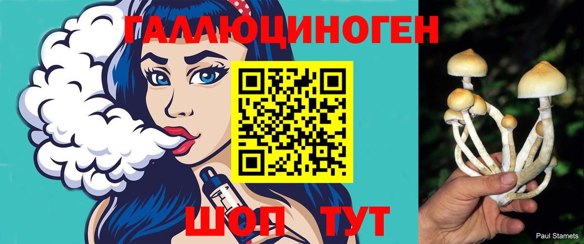 Псилоцибиновые грибы прущие грибы Камышин