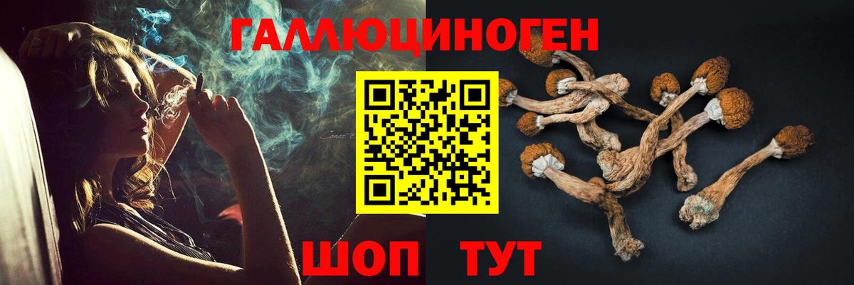 Псилоцибиновые грибы мухоморы  Вход с VPN  Камышин 